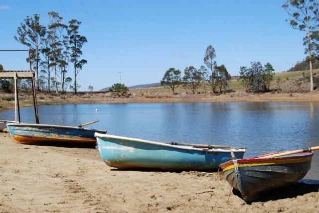 Gumleaves Bush Holidays Little Swanport Ngoại thất bức ảnh